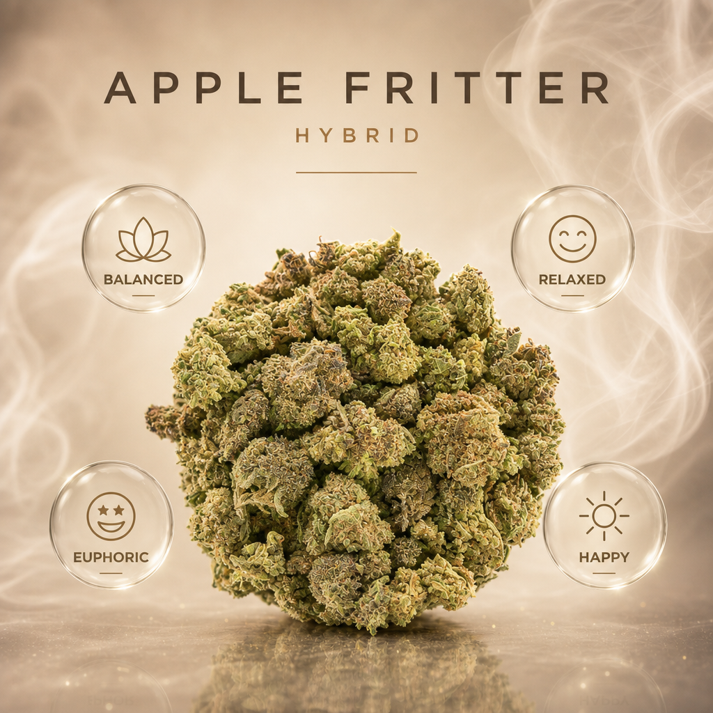 Apple Fritter