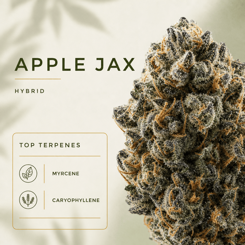 Apple Jax Pre-roll 2pk 0.5g — Macro