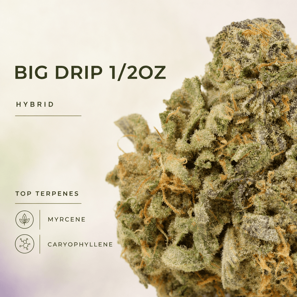Lifted Meds — Macro