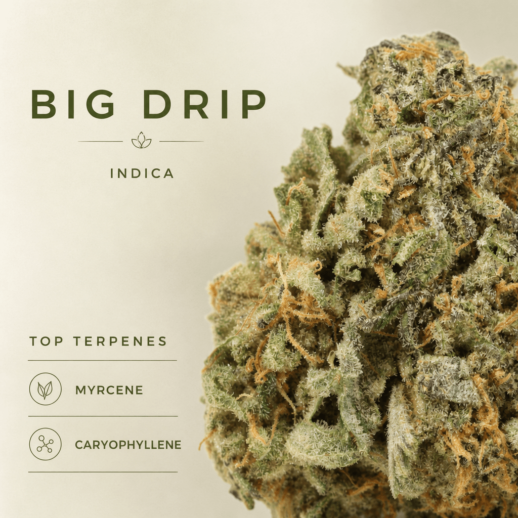 Big Drip — Macro