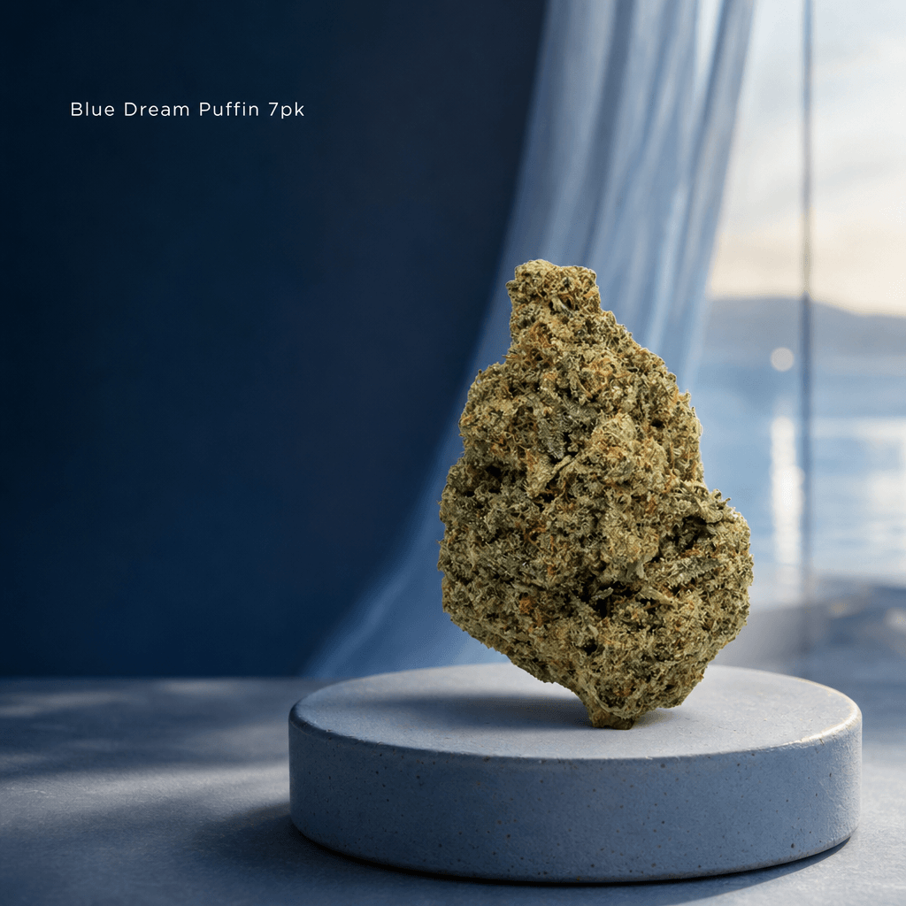 Blue Dream — Lifestyle