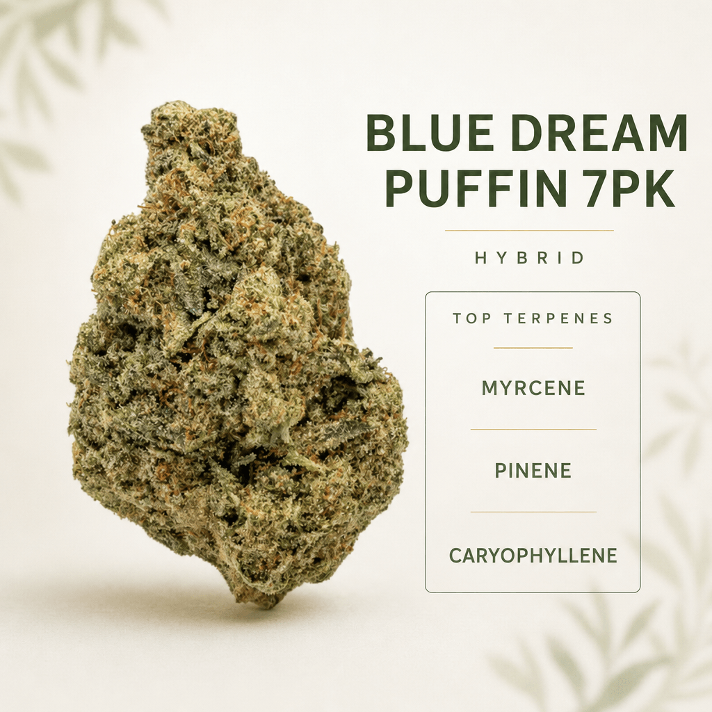 Blue Dream — Macro