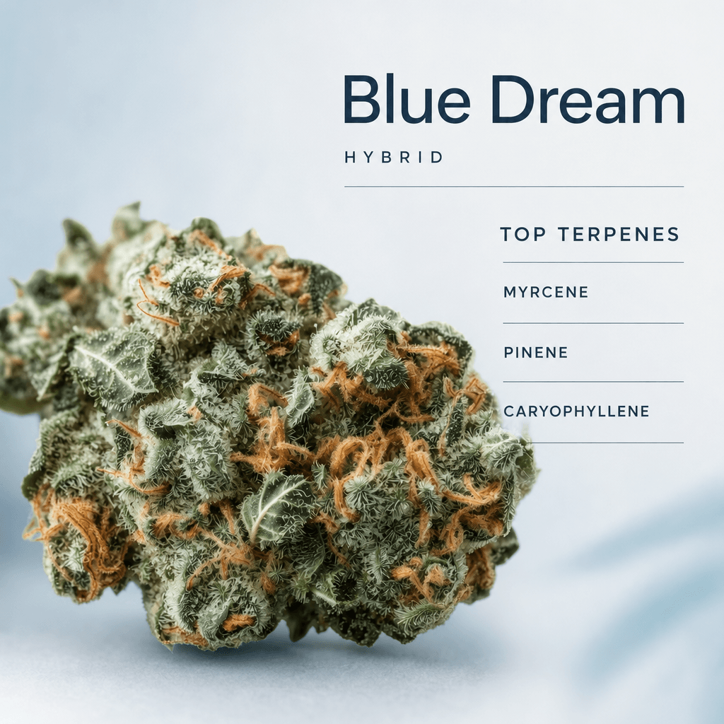 Blue Dream — Macro