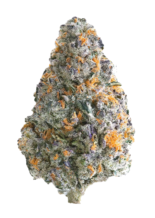 Blueberry