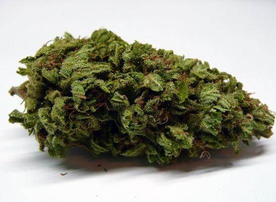 Blueberry