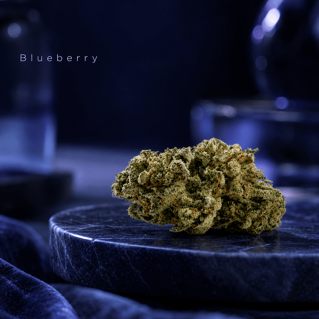 Blueberry — Lifestyle