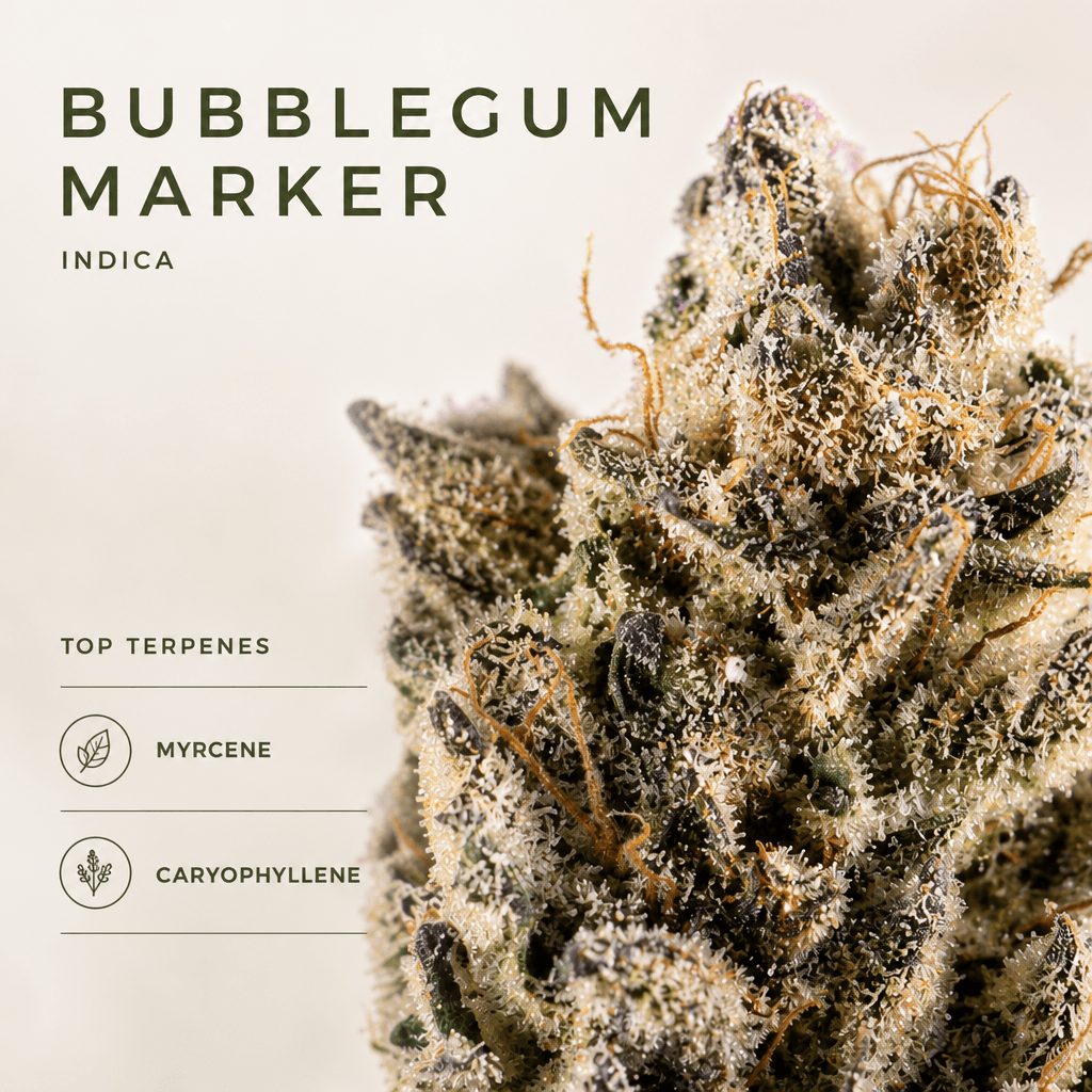 Bubblegum Marker — Macro