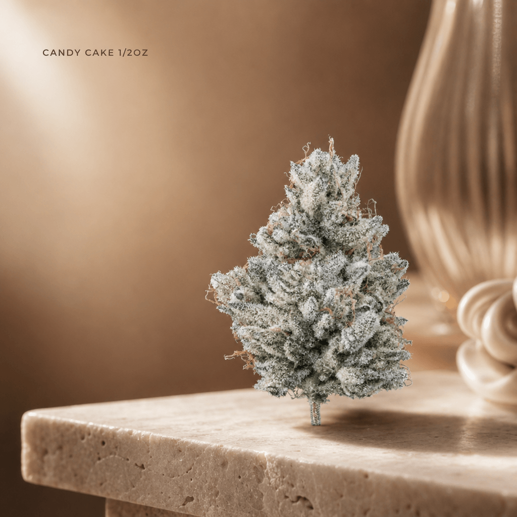 Candy Cake — Lifestyle