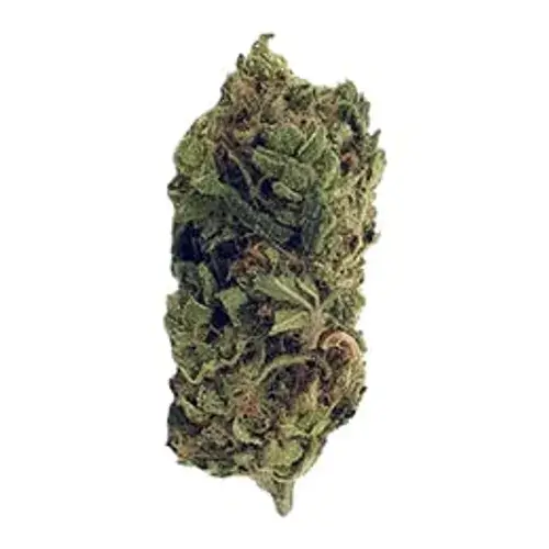 Colorado Chem