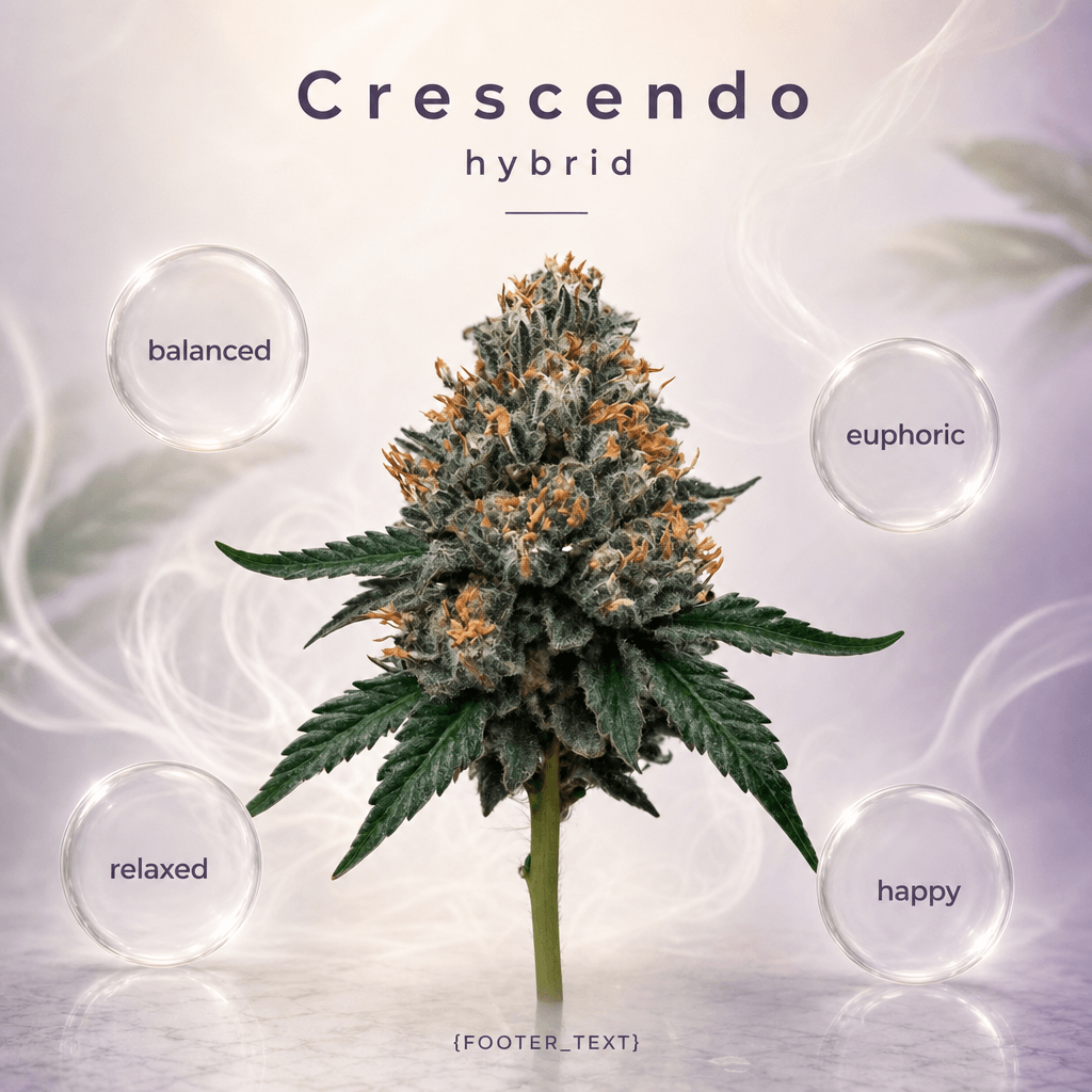 Crescendo — Effects