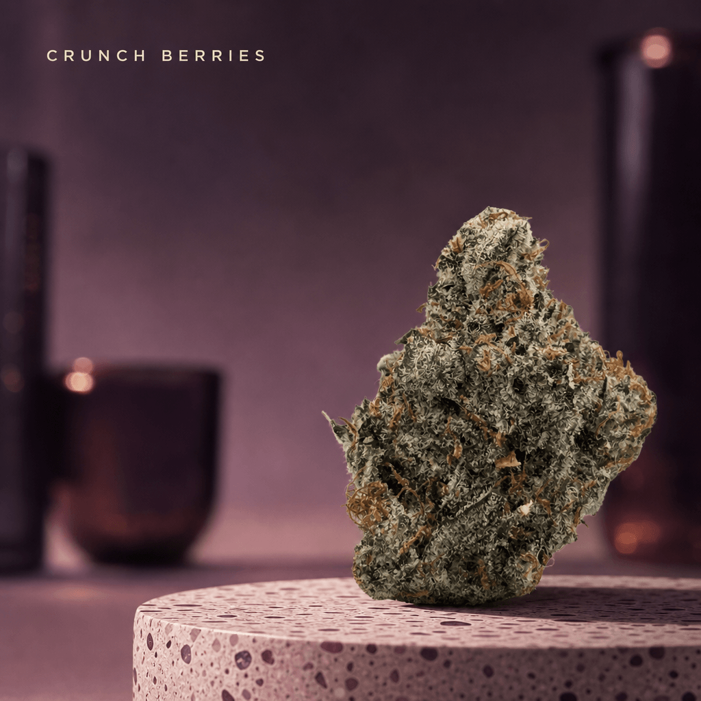 Lifted Meds — Lifestyle