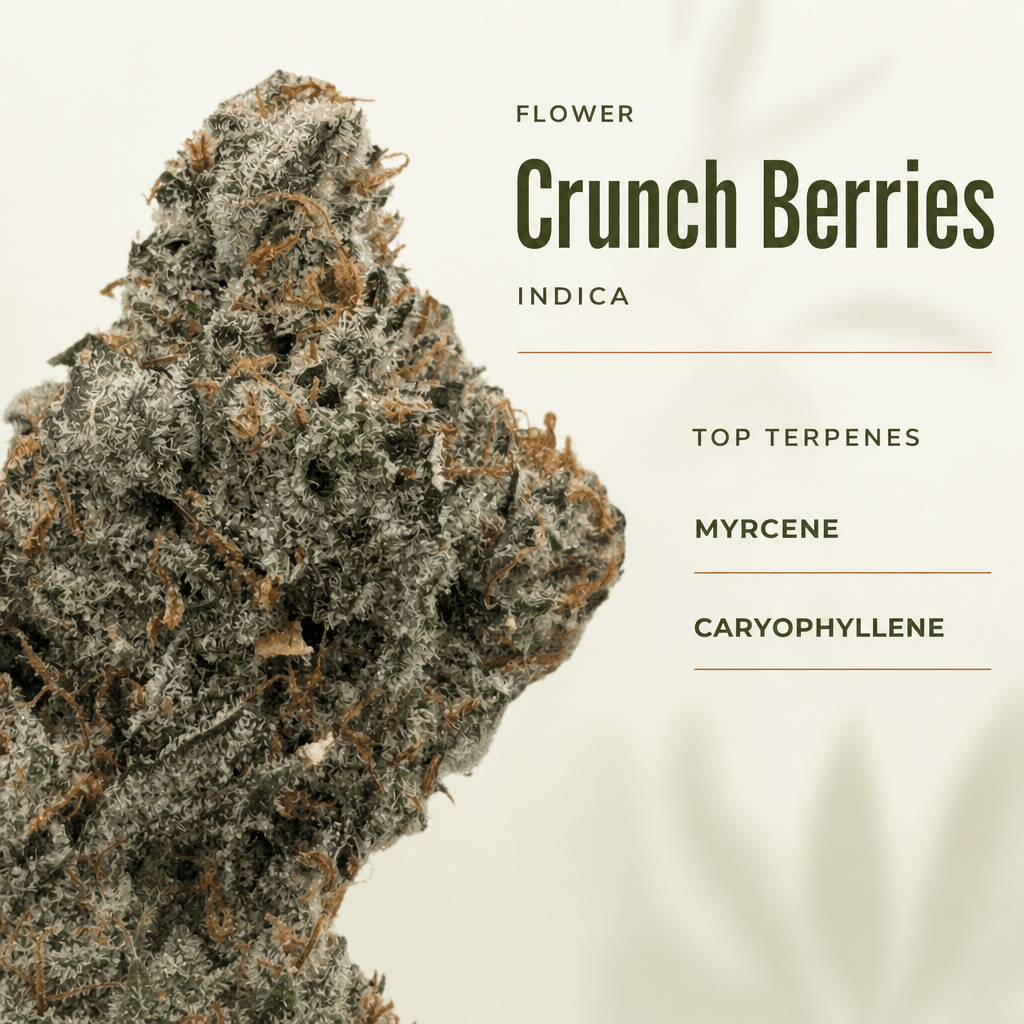 Lifted Meds — Macro