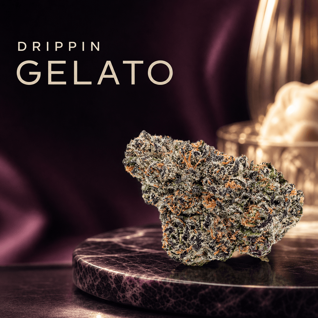 Drippin Gelato Pre-roll 2pk 0.5g — Lifestyle