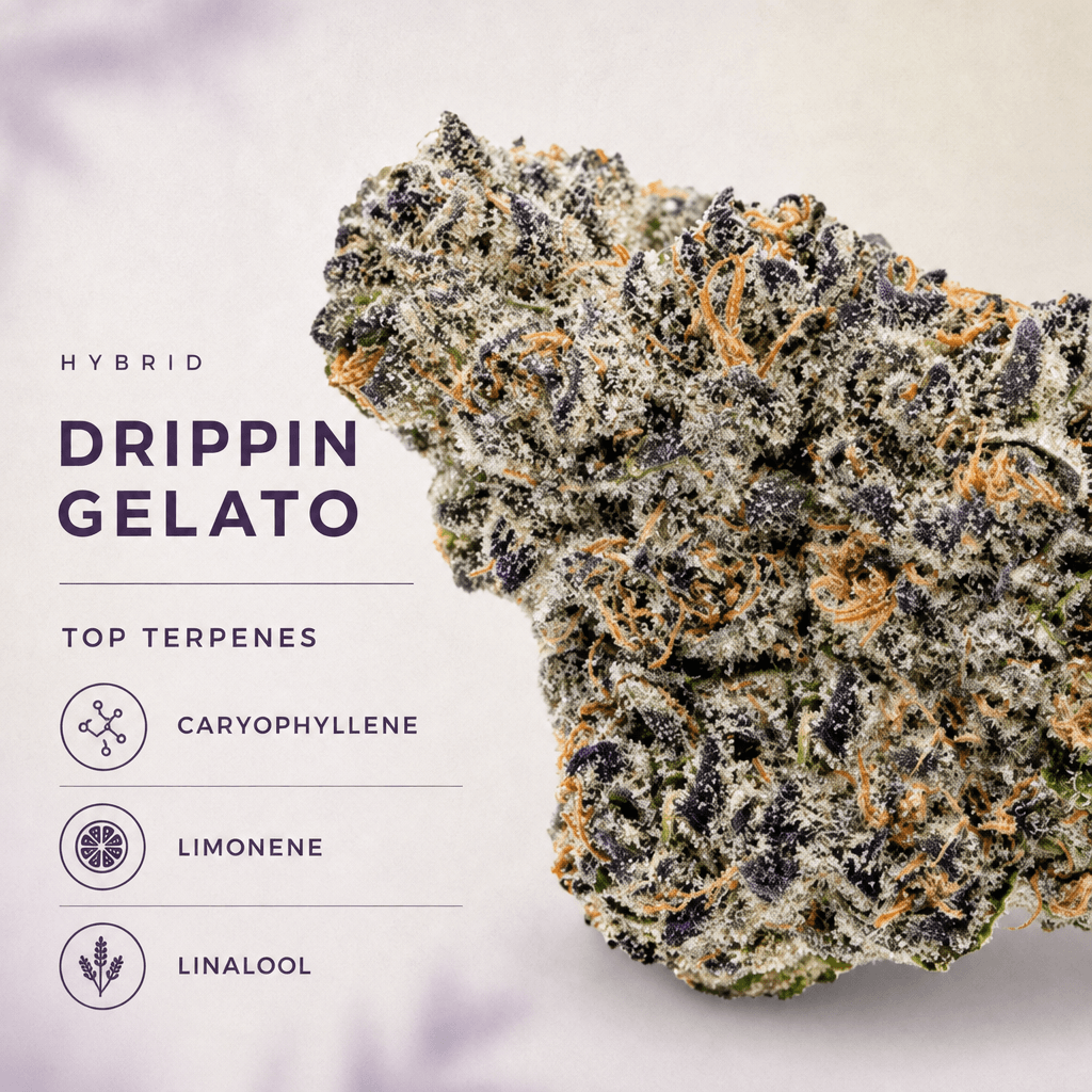 Drippin Gelato Pre-roll 2pk 0.5g — Macro