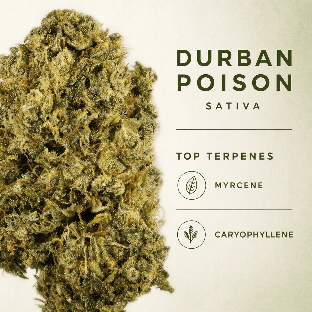 Durban Poison 1/2oz — Macro