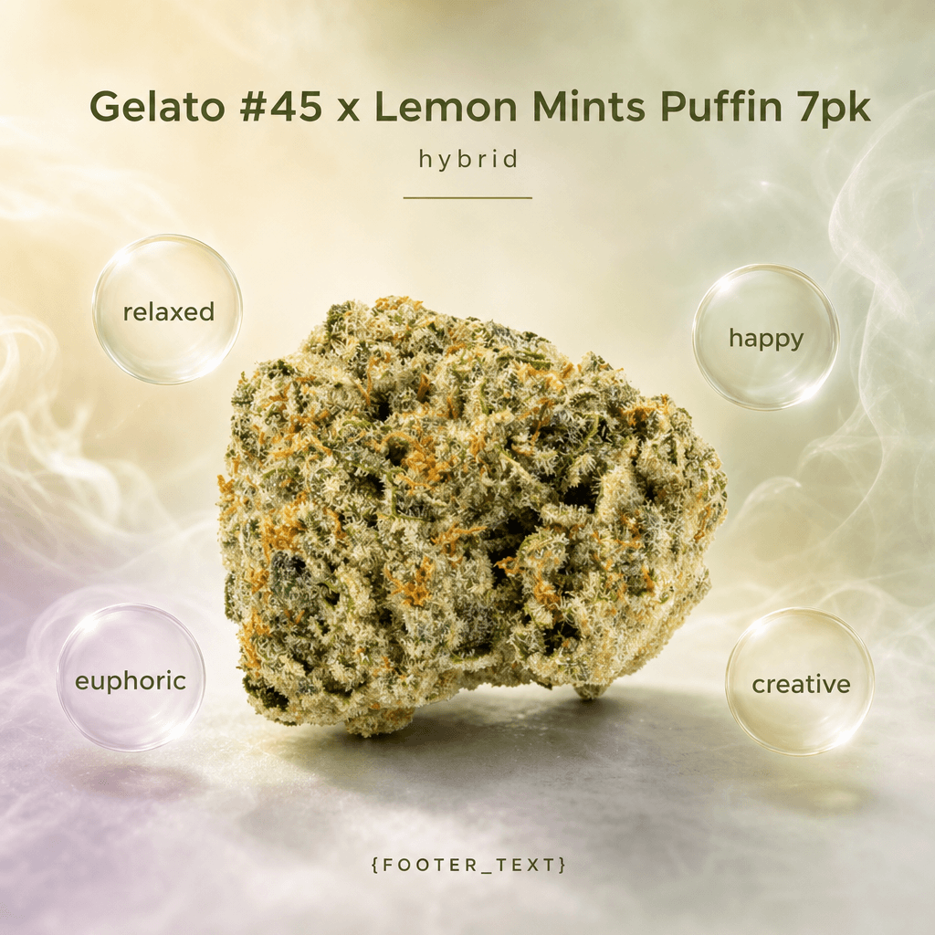 Gelato #45 x Lemon Mints Puffin 7pk
