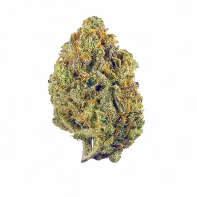 Gelato #45 x Lemon Mints