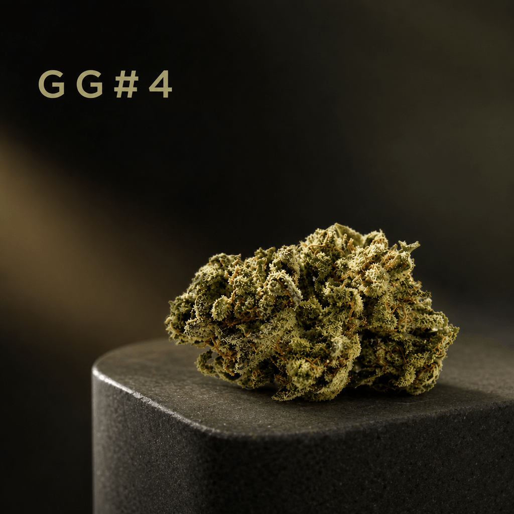 GG#4 — Lifestyle