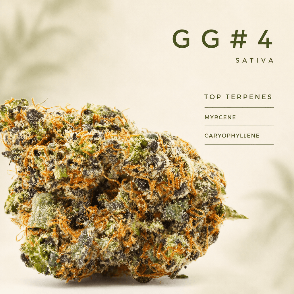 GG#4 — Macro