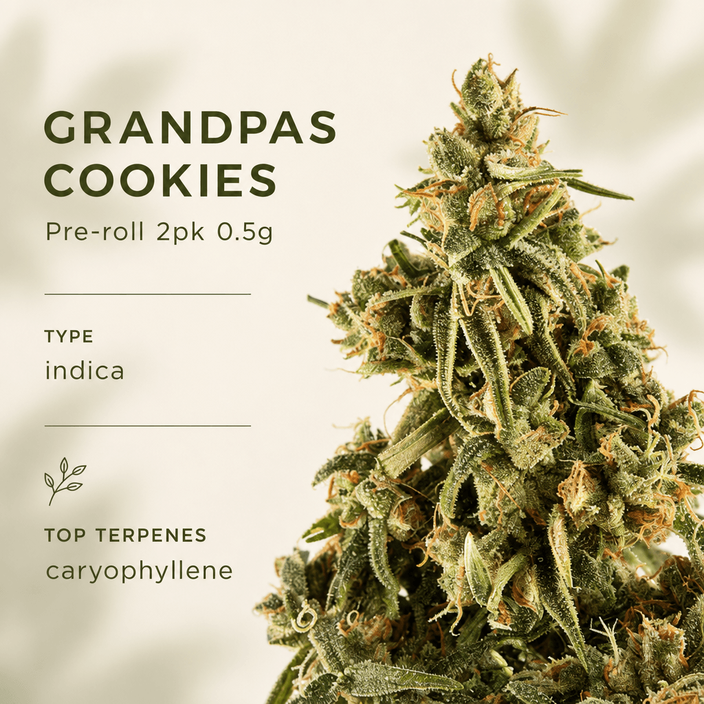 Lifted Meds — Macro