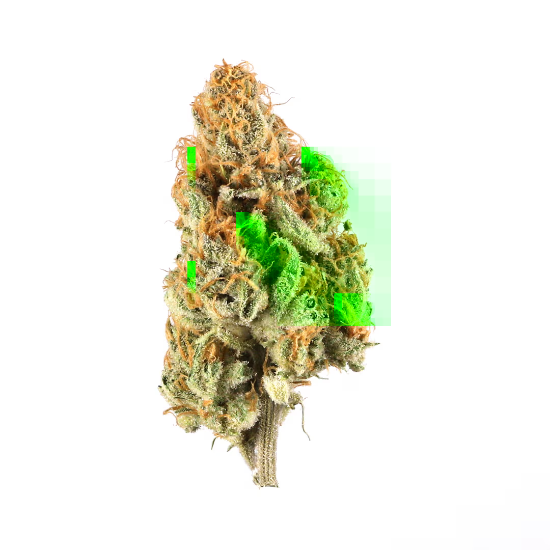 Grandpas Cookies Premium
