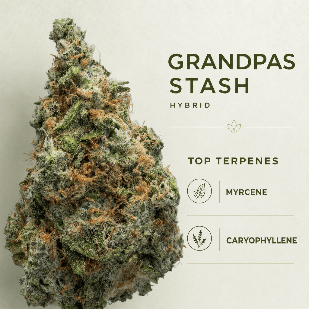Lifted Meds — Macro