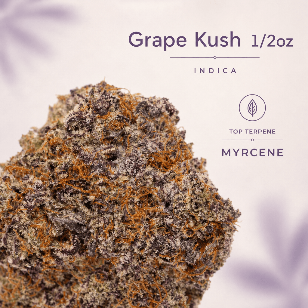 Lifted Meds — Macro