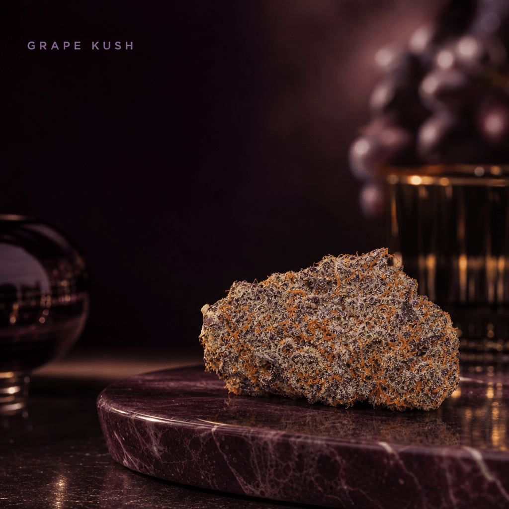 Lifted Meds — Lifestyle