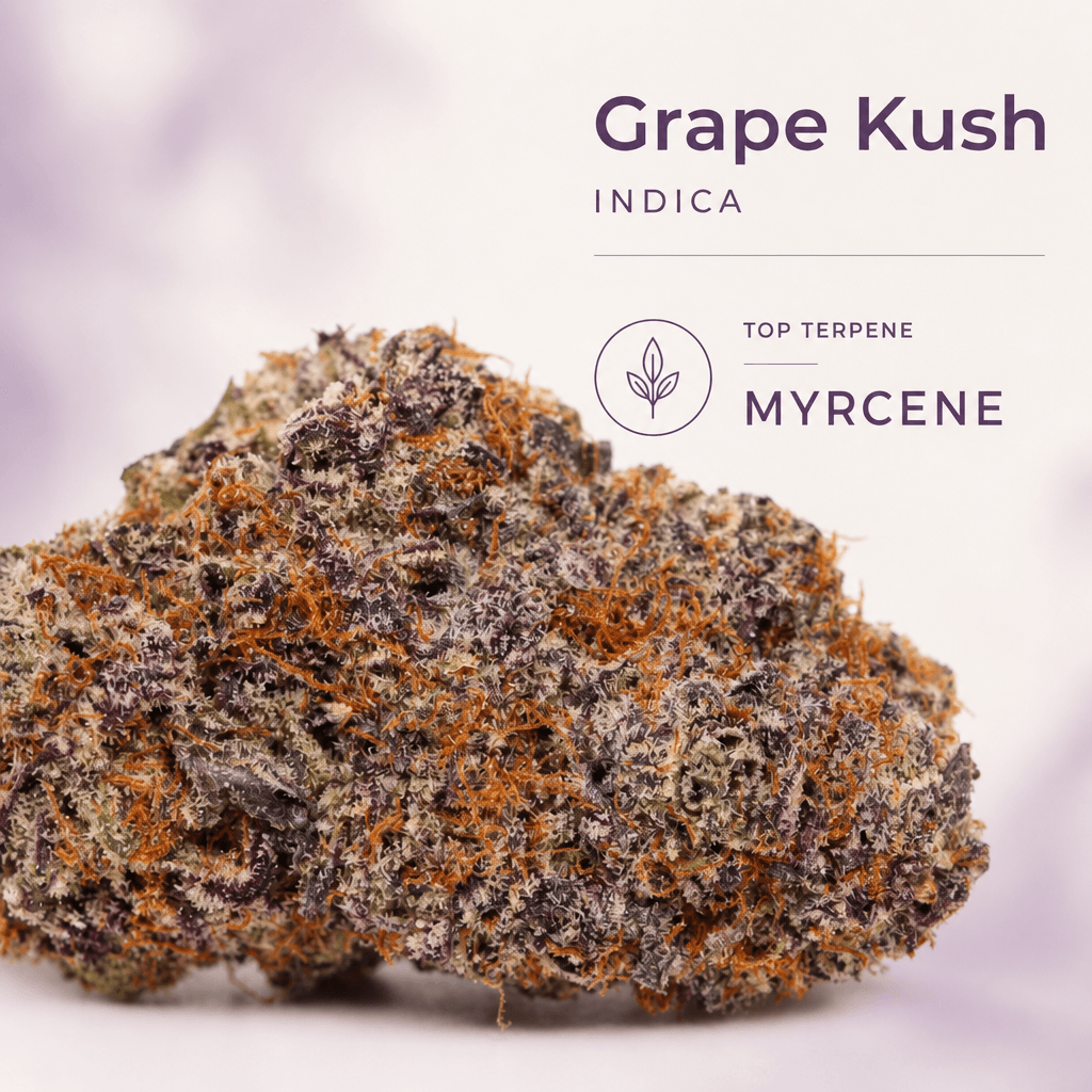 Lifted Meds — Macro