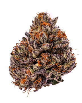 Indica Mix