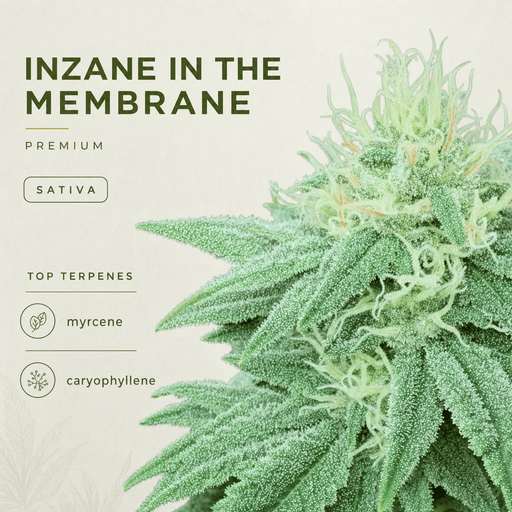 Inzane in the Membrain — Macro