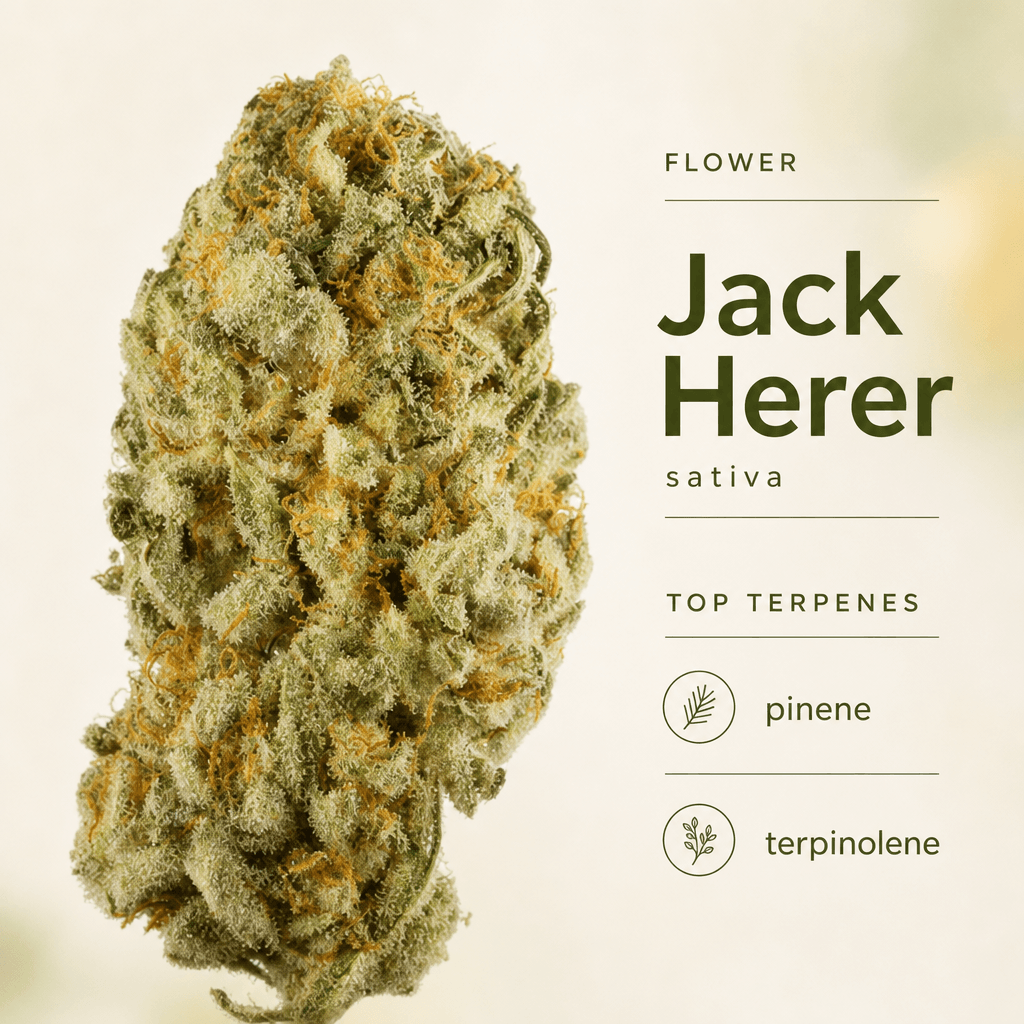 Jack Herer — Macro