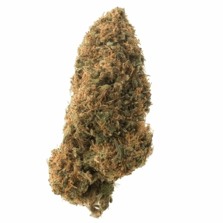 Lifted Sour