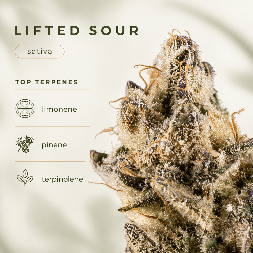 Lifted Sour — Macro
