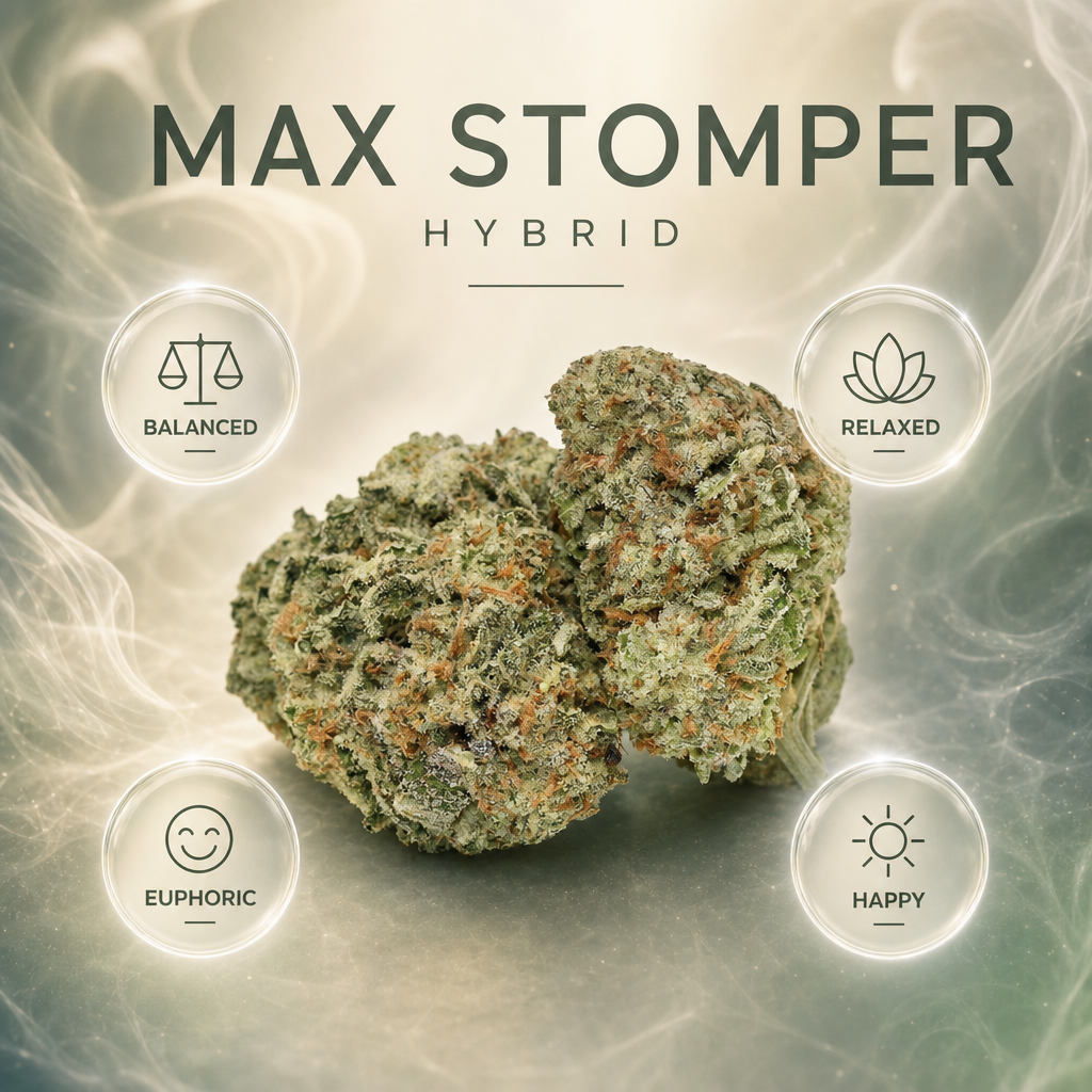 Max Stomper — Effects