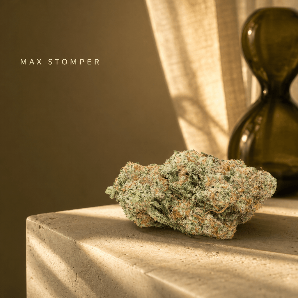 Max Stomper 2pk Pre-roll 0.5g — Lifestyle