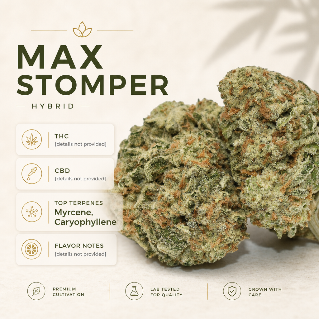 Max Stomper — Macro