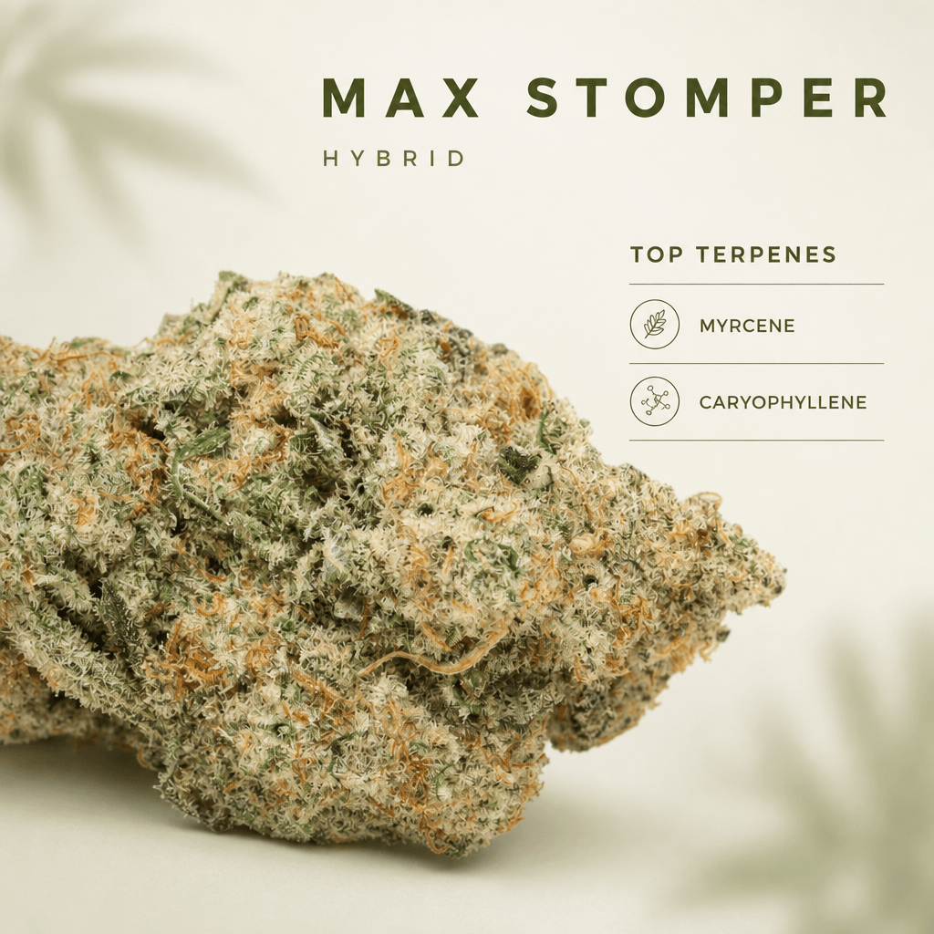 Max Stomper 2pk Pre-roll 0.5g — Macro