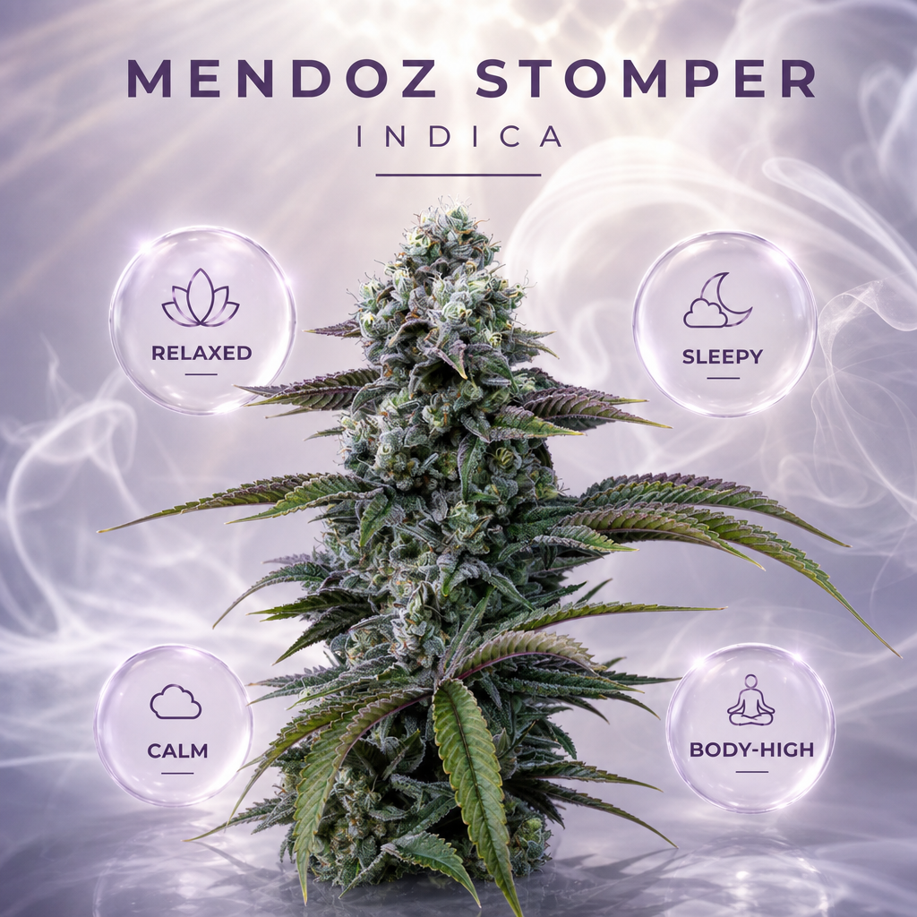 Lifted Meds — Effects