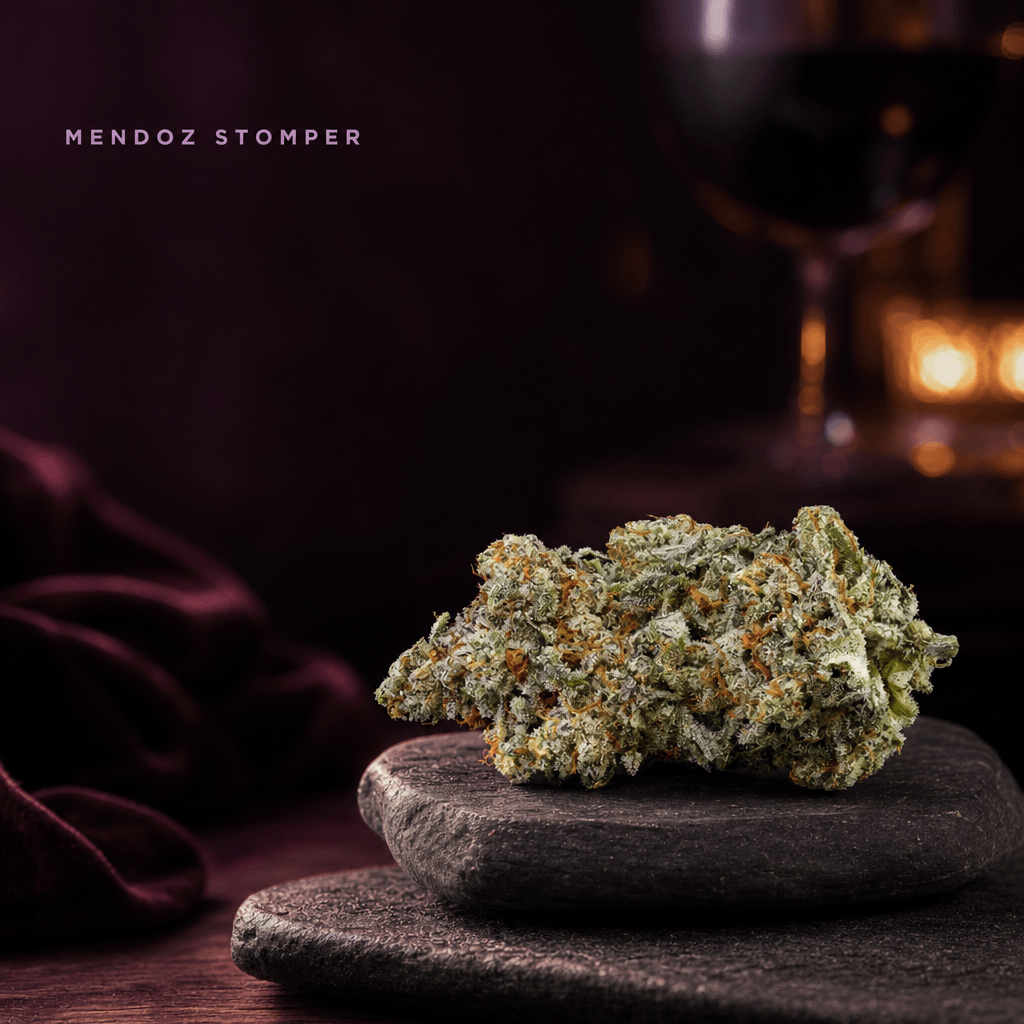 Mendoz Stomper — Lifestyle