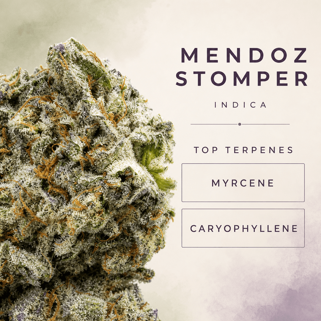 Lifted Meds — Macro