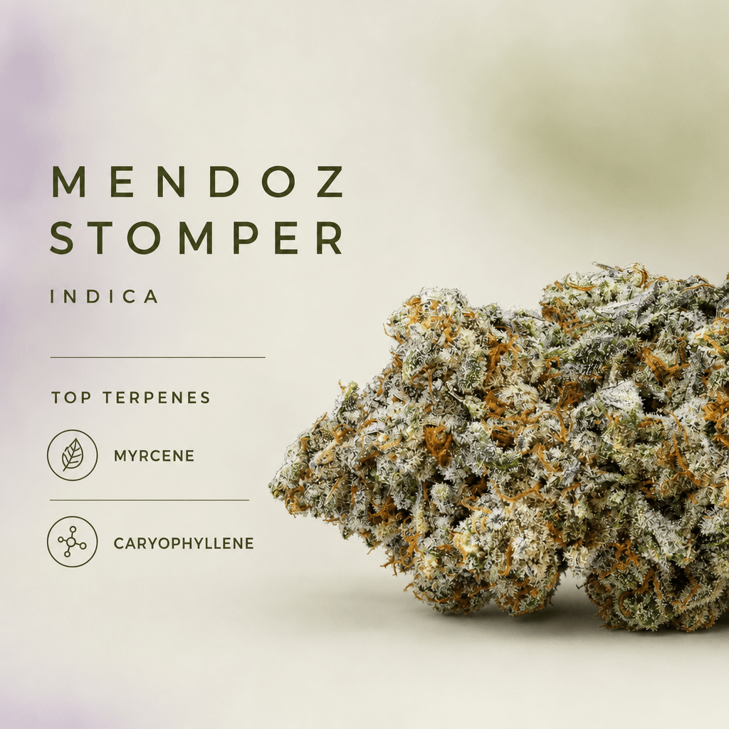 Mendoz Stomper — Macro