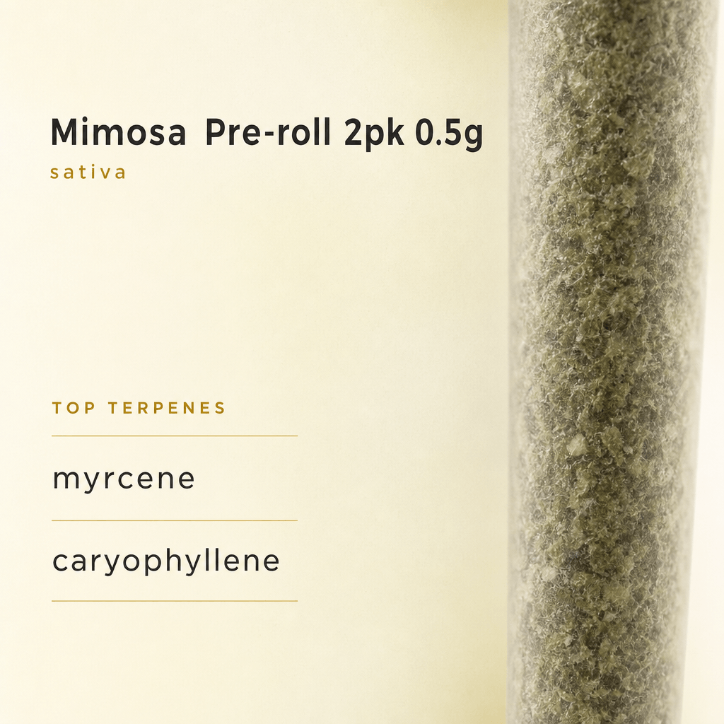 Mimosa — Macro