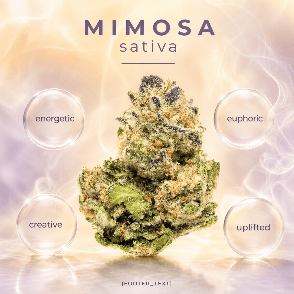 Mimosa — Effects