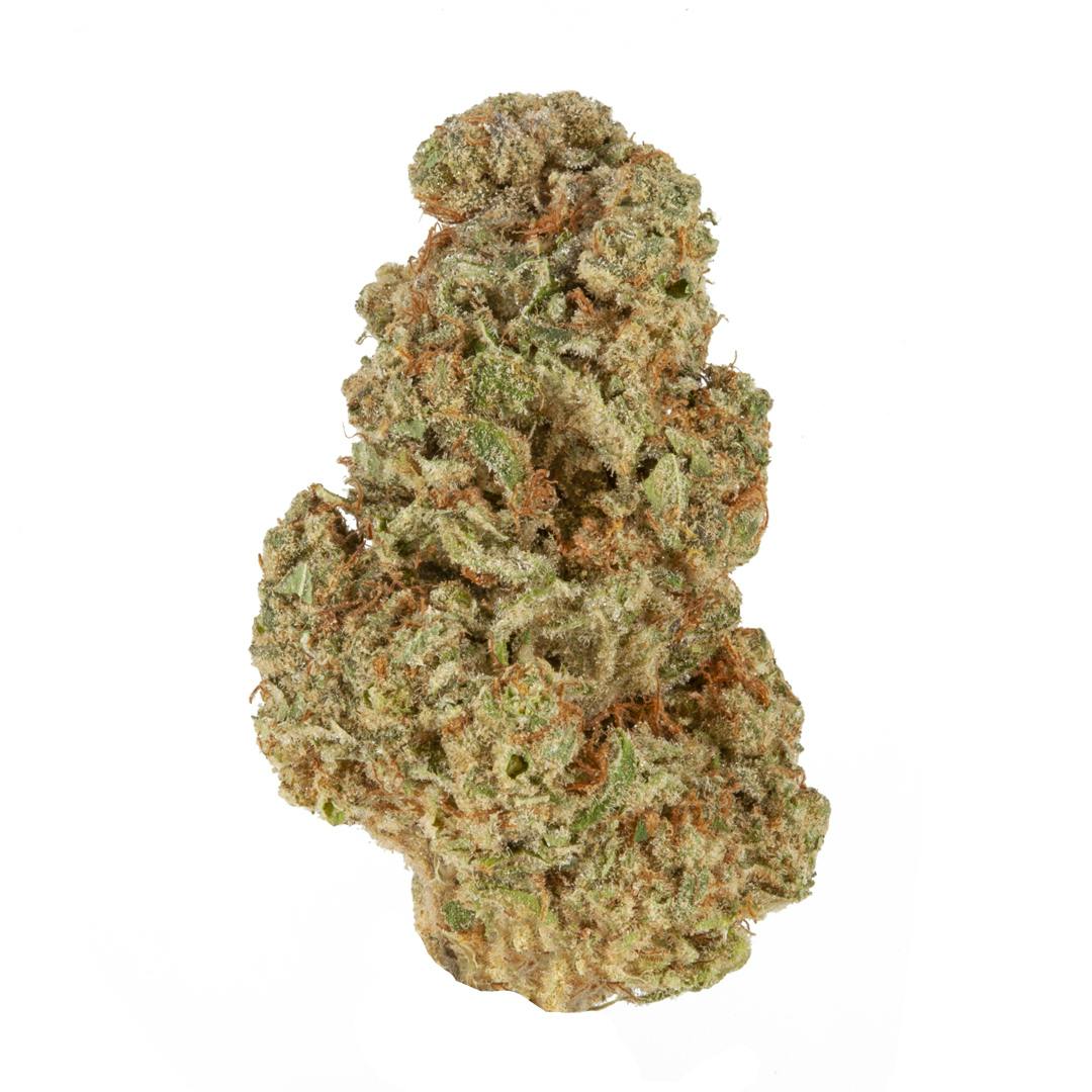 Mimosa
