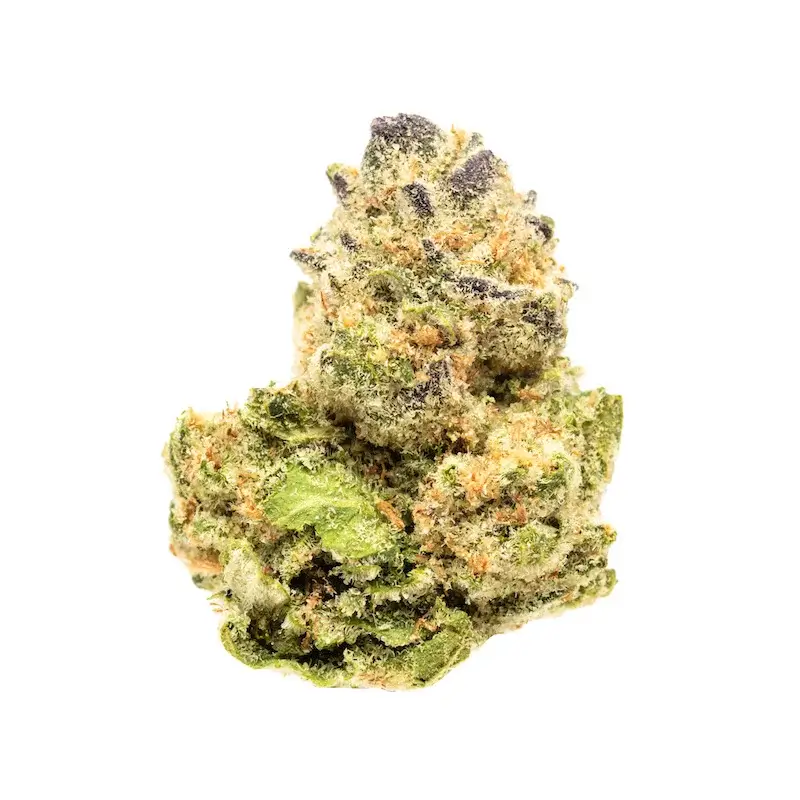 Mimosa