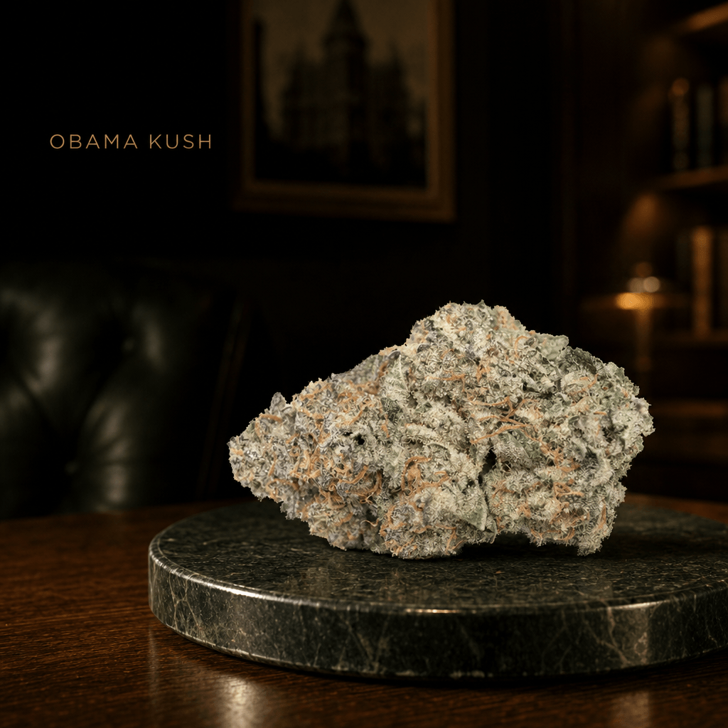 Obama Kush — Lifestyle