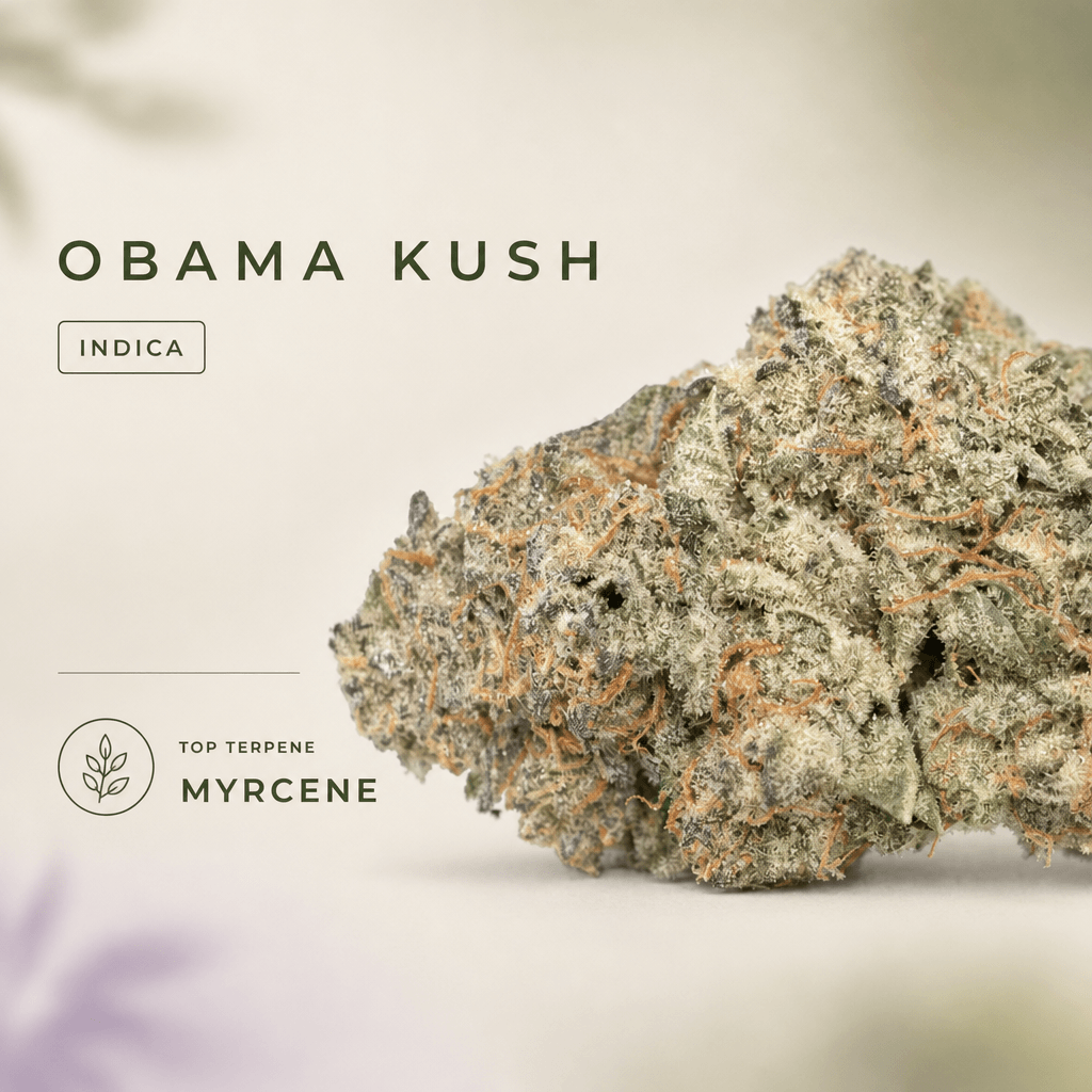 Obama Kush — Macro