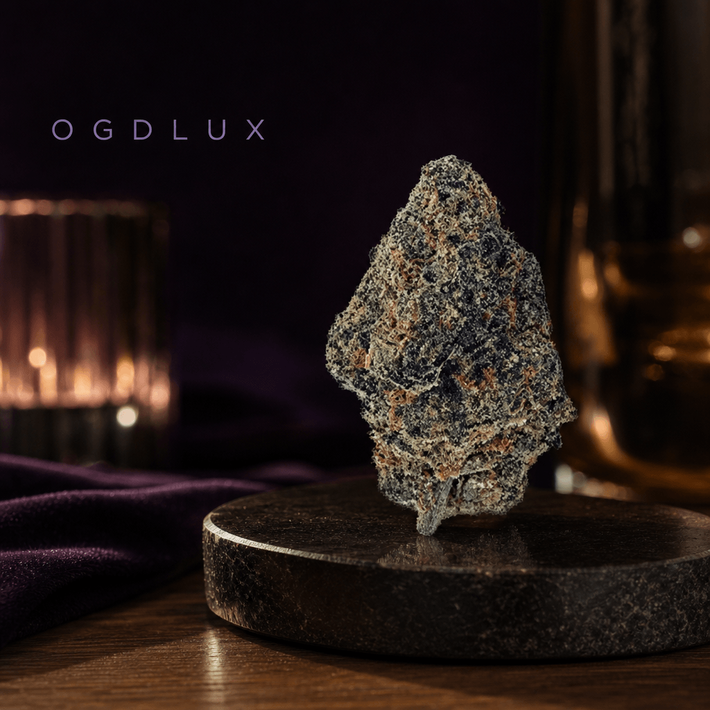 OGDLUX — Lifestyle