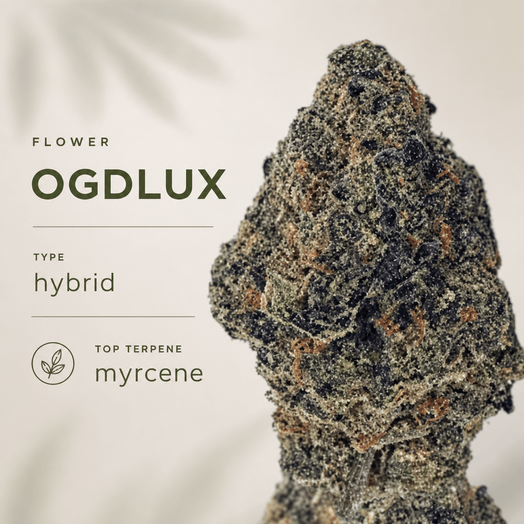 OGDLUX — Macro